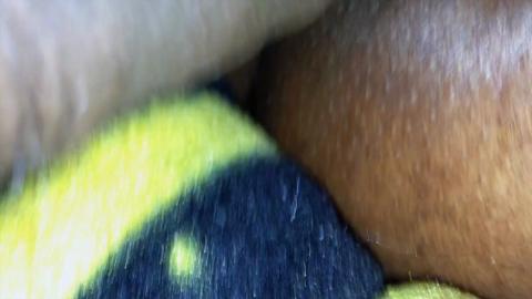 38505